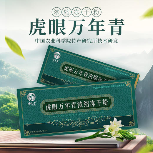 坤兑堂虎眼万年青浓缩冻干粉10g（0.5g*20瓶） 商品图3