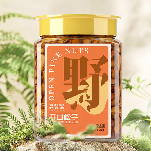 【野森林】罐装 甄选开口松子 500g 商品图0