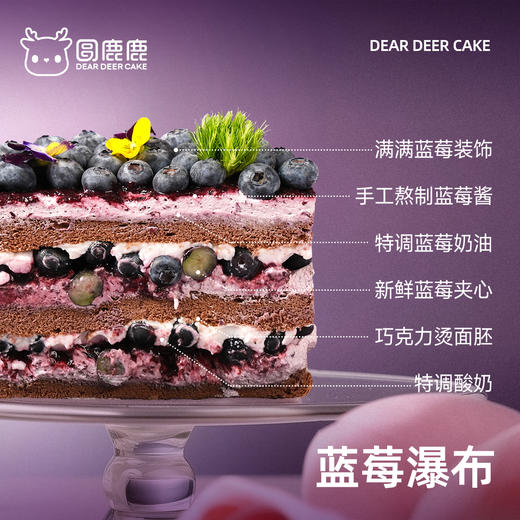 蓝莓瀑布 商品图1