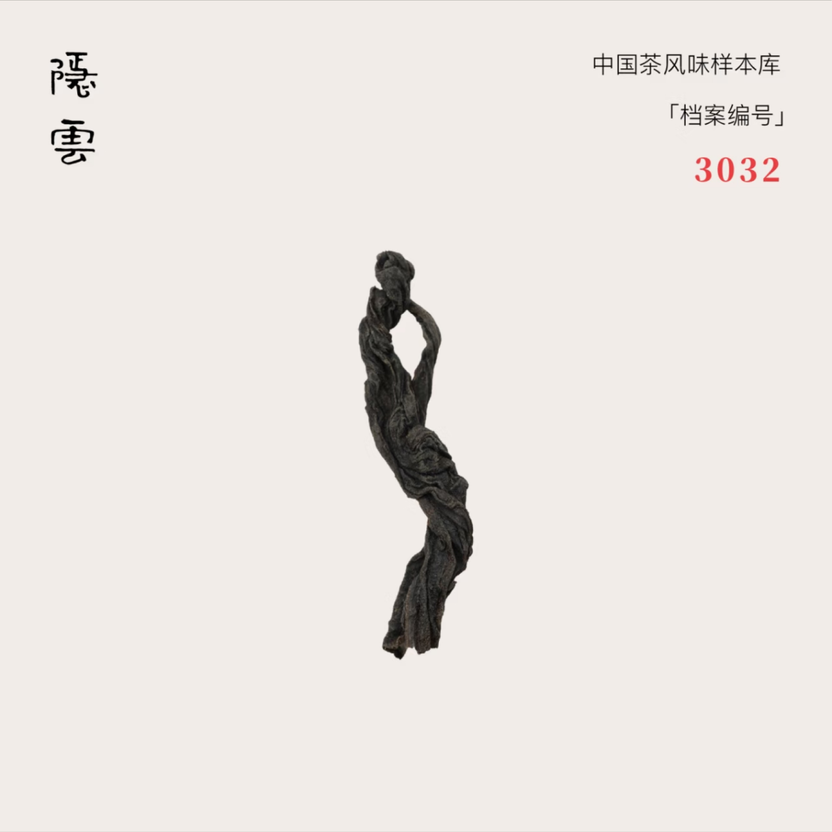 松曛｜2023年传统正山小种