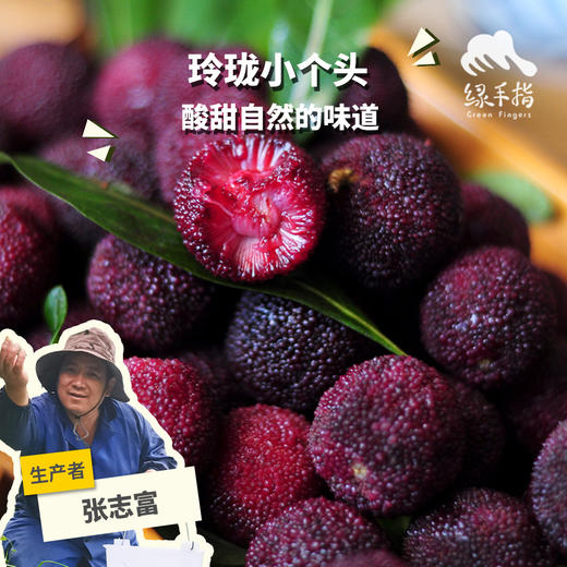 生态荸荠杨梅（邮政空运）| 合作生产*  Ecological red bayberry | Partner Production 商品图0