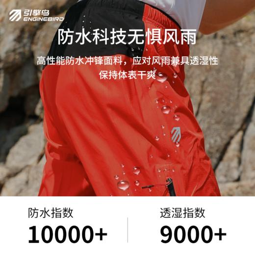 引擎鸟户外冲锋裤男女防风防水徒步登山长裤 商品图3