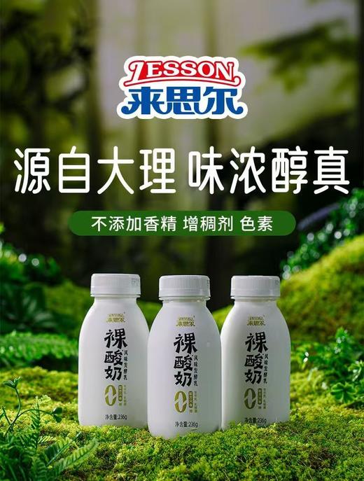 来思尔  裸酸奶瓶装低温酸奶12瓶*236g  厂家直发 商品图0