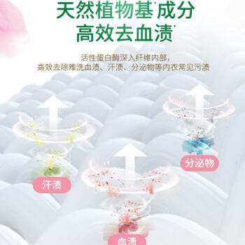 好爸爸（Kispa）樱花内衣洗衣液 洗衣露套装5.2斤 除菌去血渍 内衣裤专用 /家庭清洁/纸品 /衣物清洁 /内衣洗衣液 商品图1