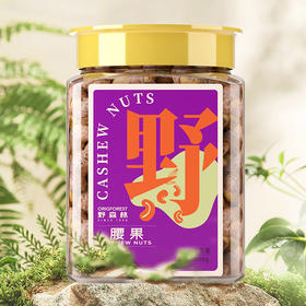 【野森林】罐装 甄选腰果 380g