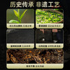 安化黑茶正品金花茯砖茶正宗湖南安化菌香手筑茯砖品鉴装CM 商品缩略图3