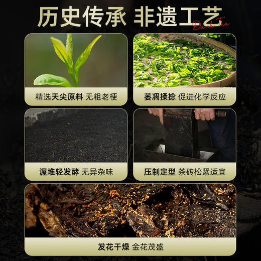 安化黑茶正品金花茯砖茶正宗湖南安化菌香手筑茯砖品鉴装CM 商品图3