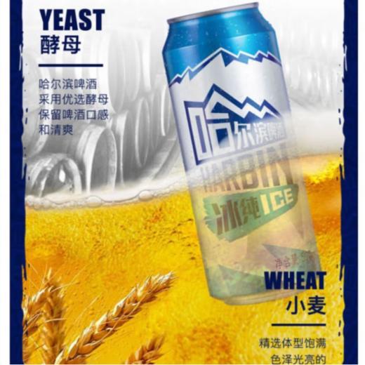 哈尔滨9.1°P冰纯啤酒罐装500ml 商品图1