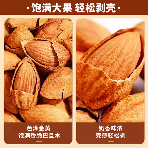 【野森林】罐装 甄选巴旦木 350g 商品图4