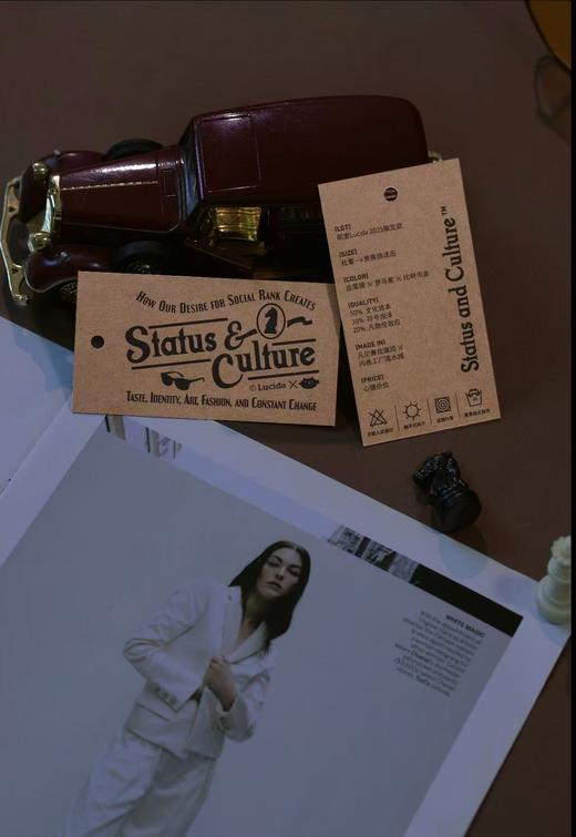 签名本《地位与文化：身份焦虑如何塑造审美与潮流》 （美）W.大卫·马克斯 著 商品图6