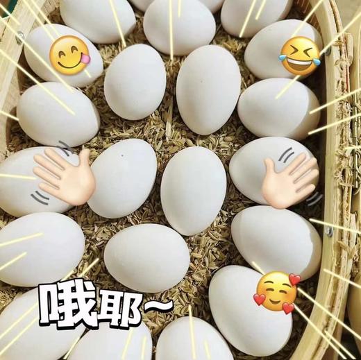 乌鸡蛋（筐）40枚 商品图1