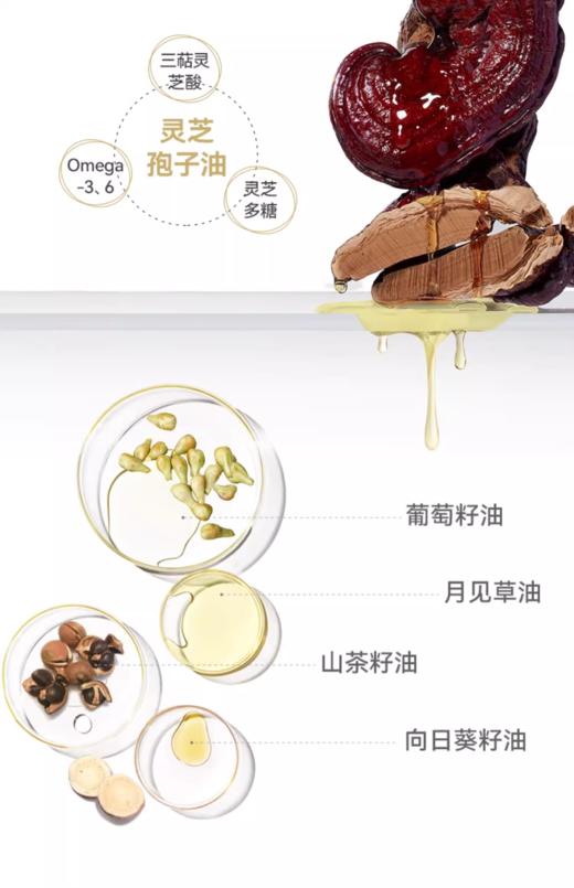 衡美肤新蕴养活颜能量油30ml 商品图5