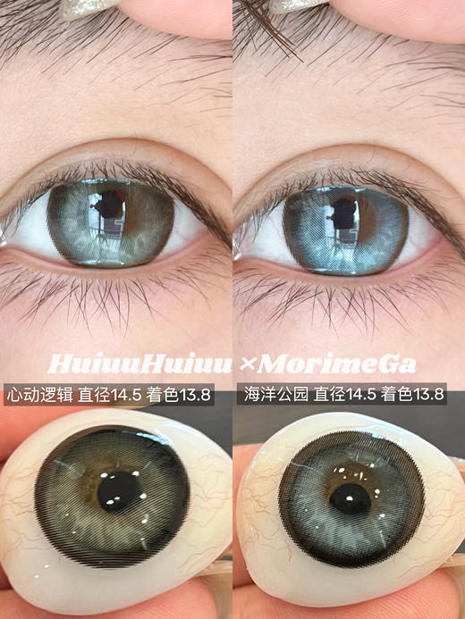 【日抛/年抛大直径】MOREA-心动逻辑/海洋公园-14.5mm 【日抛/年抛 0-800度 不含525/575】 商品图0