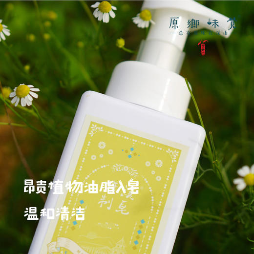 洋甘菊植物皂液/沐浴露（成都仓库-顺丰发货）|500ml/瓶，来自广东中山，生产者：旗溪【合作生产，公平贸易 】 商品图1