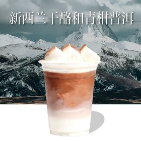 干酪普洱