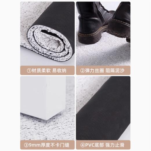 入户门地垫家用中式高级感入户大门口防滑脚垫子进门玄关耐脏地毯 商品图4
