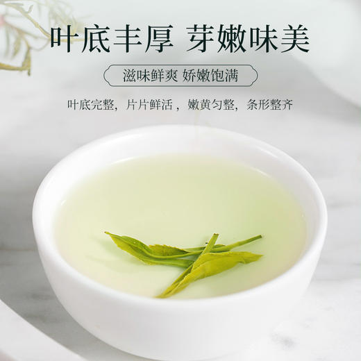 恩施硒茶正宗浓香型玉露春茶雨前正品高山云雾绿茶50g自饮装 CM 商品图4