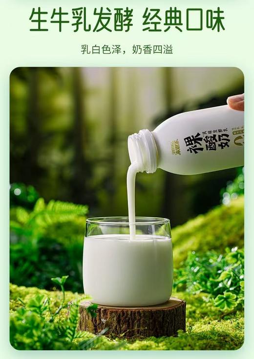 来思尔  裸酸奶瓶装低温酸奶12瓶*236g  厂家直发 商品图2