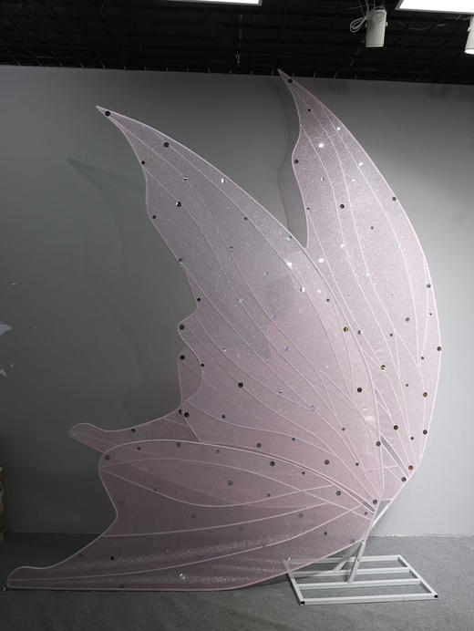 羽翼（运费自理） 商品图5