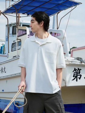 Evistub/E-5XDX502/进口水柔棉POLO衫短袖男