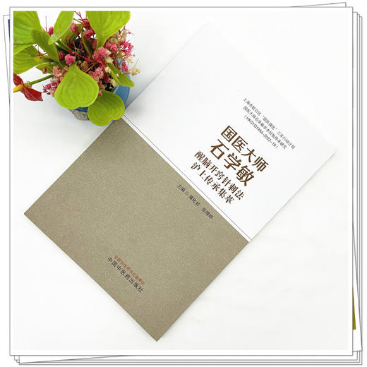 国医大师石学敏醒脑开窍针刺法沪上传承集萃 薄化君 张璟婷 主编 中国中医药出版社 商品图1