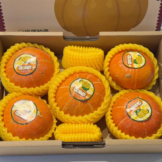 粉糯香甜 蒸烤皆宜 黄金贝贝南瓜 5枚/盒 商品图2