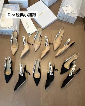迪奥 J'Adior 尖头 系带 细跟 高跟鞋 10cm  6.5cm 芭蕾平底鞋（HC）