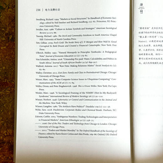 电力消费社会 薄荷实验 电力市场 插座背后的经济学 商品图14