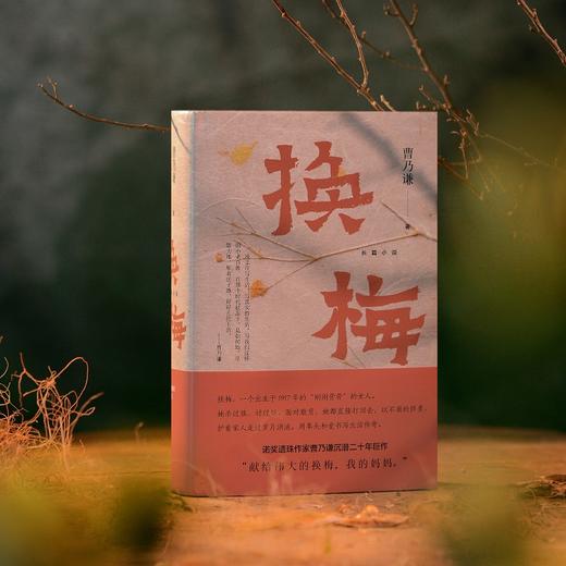 换梅（诺奖遗珠曹乃谦集大成之作，用拳头和爱书写生活传奇） 商品图3
