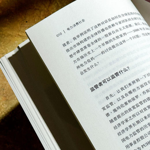 电力消费社会 薄荷实验 电力市场 插座背后的经济学 商品图9