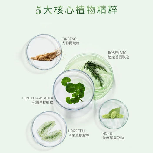 【限时一天299】法国 Sisley 希思黎 全能乳液 125ml 商品图1