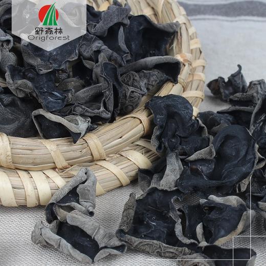 【野森林】森林味道木耳 280g 商品图2