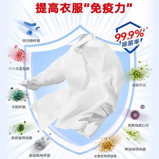 立白除菌去渍无磷型洗衣粉3200g 商品图2