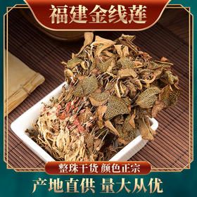 福建金线莲紫背金叶厂家现货50克起批可装礼盒金线莲干品