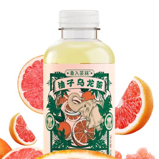520ml象入茶林饮料 多重口味任选 商品图1