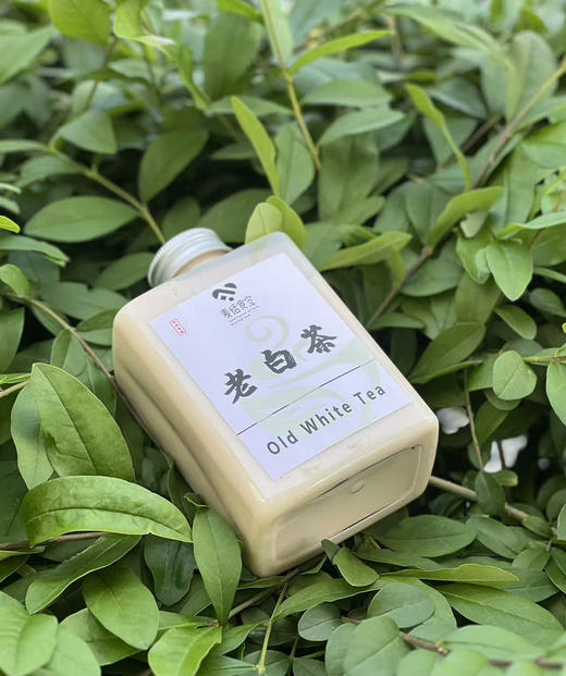 手工茶饮450ml 商品图1