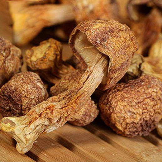 阿比该山珍菌子礼盒591款 商品图2