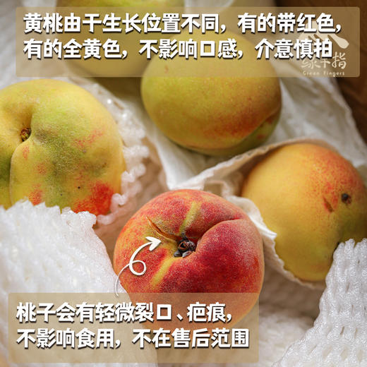 生态黄桃（邮政空运） | 合作生产*  Ecological peach | Partner Production 商品图1