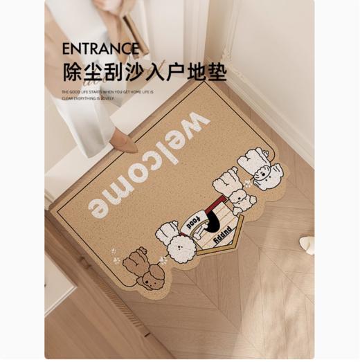 入户门地垫家用中式高级感入户大门口防滑脚垫子进门玄关耐脏地毯 商品图0