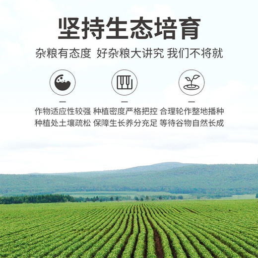 【野森林】（真空）五色糙米 1000g 商品图3