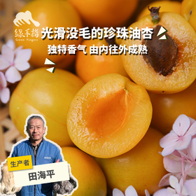 生态珍珠油杏| 合作生产 *Eco Pearl Apricot | Coprodution