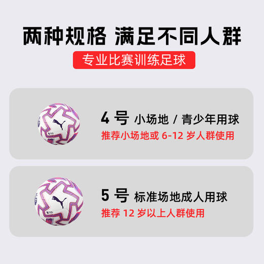 小李子PUMA彪马25-26赛季英超联赛4号5号球机缝训练足球084714 01 商品图4