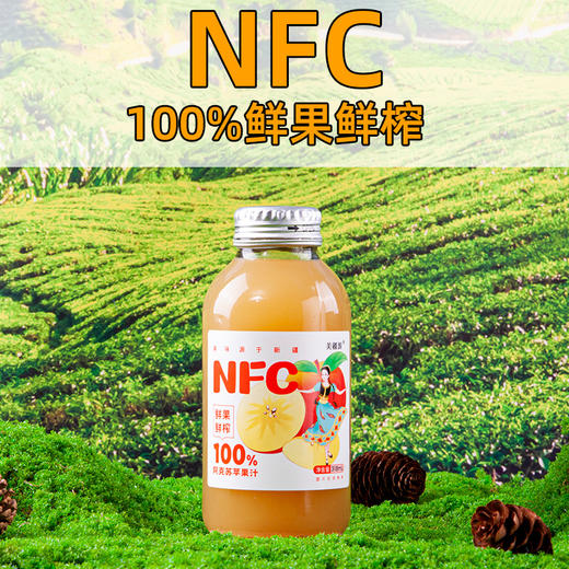 【全国包邮】新疆苹果汁（318ml*5瓶） 商品图4