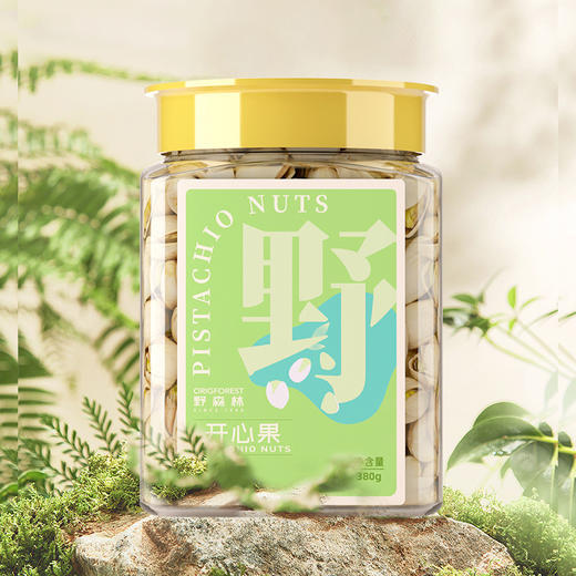 【野森林】罐装 甄选原色开心果 380g 商品图0