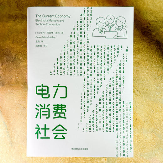 电力消费社会 薄荷实验 电力市场 插座背后的经济学 商品图1
