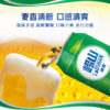 崂山啤酒 清爽8度500ml/罐 商品缩略图2