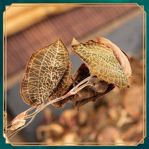 福建金线莲紫背金叶厂家现货50克起批可装礼盒金线莲干品 商品图3