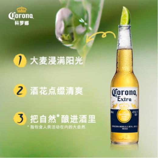 科罗娜啤酒330ml 商品图3