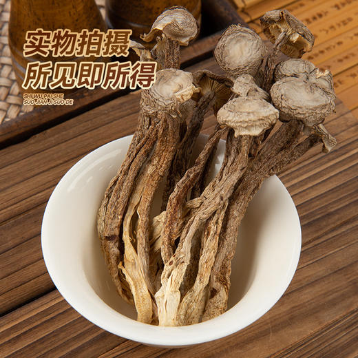 鹿茸菇干货500g特级鹿茸菌云南食用菌香菇脆脆菇煲汤食材产地直销 商品图2