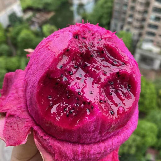 广西红心火龙果金都1号皮薄肉厚新鲜水果 商品图3